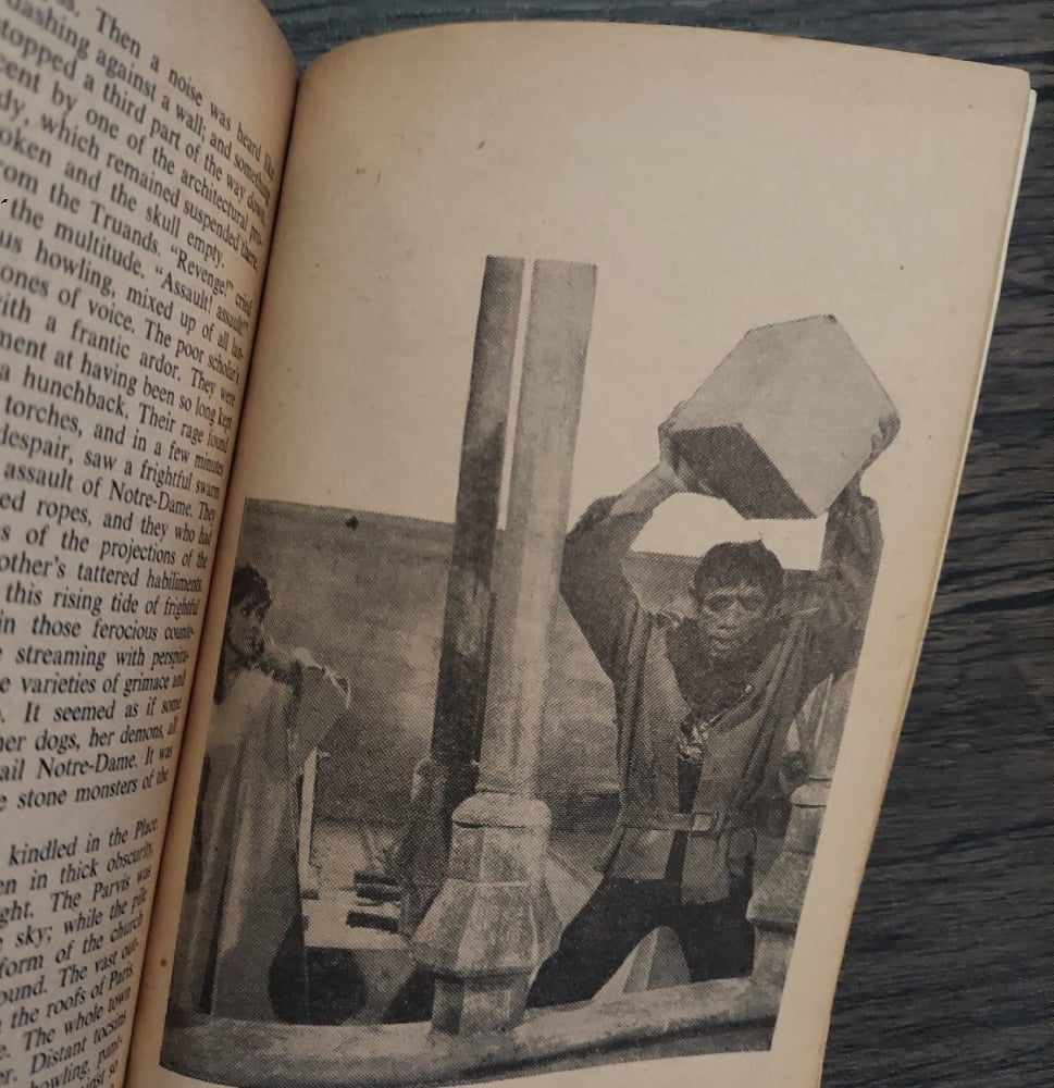 The Hunchback of Notre Dame, by Victor Hugo