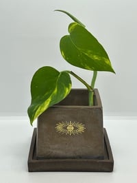 Image 1 of 3”x3” Cement Pottery with gold metal eye sticker