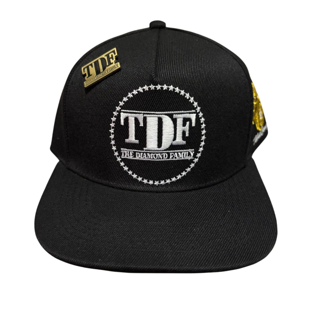 Image of Diamond family championship SnapBack 