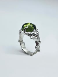 Image 1 of OVERGROWTH RING