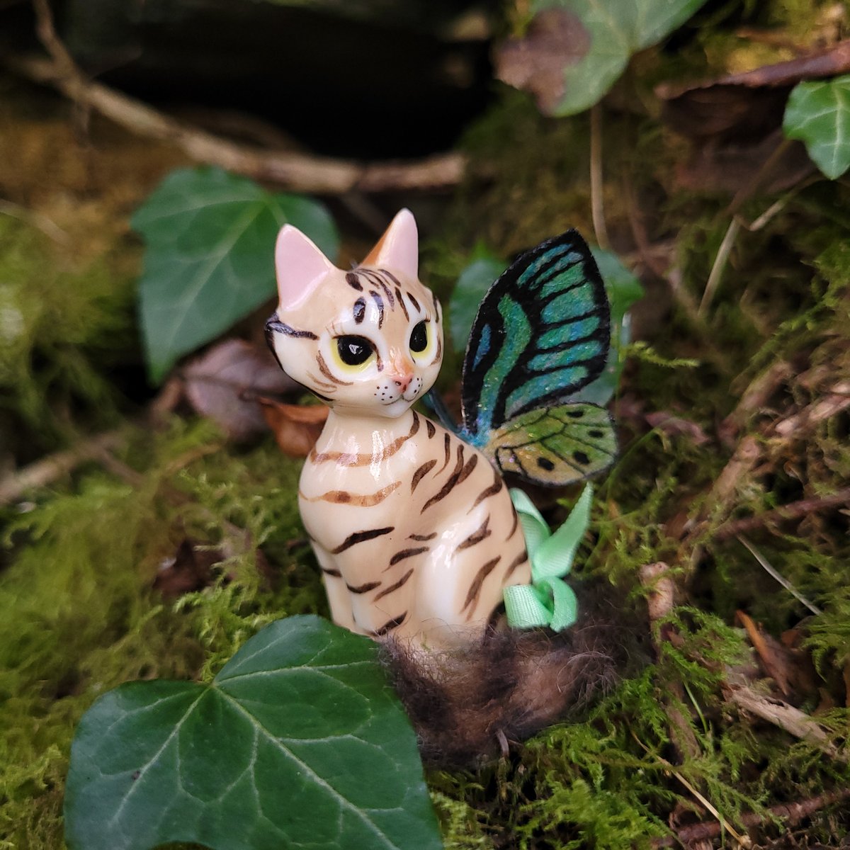 Image of Fairy Trinkitty Brown Tabby