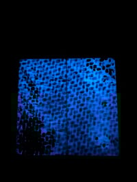 Image 5 of Giraffe Bone & Blue GLOW Carbon Fiber Segmented Knife Scales
