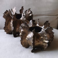 Image 2 of Erizos de cobre