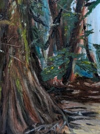 Image 2 of The Path to Marymere