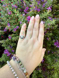 Image 1 of The Wish Flower Ring (7)