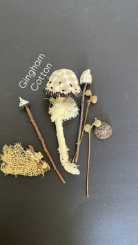 Image 1 of Mushroom brooch mixed colours  