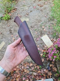 Image 5 of carbon hunter 