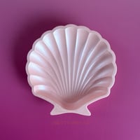 Image 2 of Tray SHELL “Shimmer”