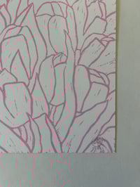 Image 2 of Tulips (pink)