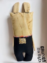 Image 3 of Sugar May