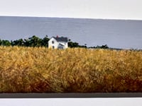 Image 4 of Relic- Bruce Peeso