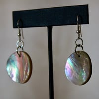 Image 2 of Xs abalone rounds