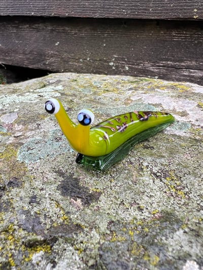 Image of Green and Brown Boro Slug