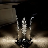 Image 1 of Garden Column - Pine Trees