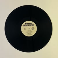 Image 4 of The Putz - Too Little Too Late Lp or Cd 