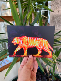 Image 1 of Tiger Postcard