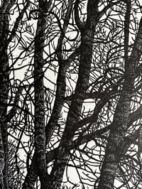 Image 3 of ‘Winter Ash’ Original Lino Print