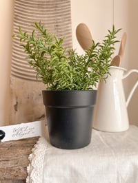 Faux Potted Rosemary
