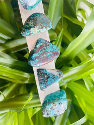 Image of Chrysocolla Tumble Stone 