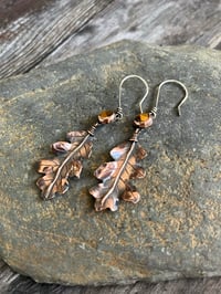 Image 2 of Oak Earrings
