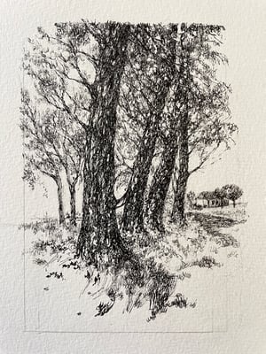 Image of VINTAGE DUTCH DRAWING: LANDSCAPE #8