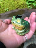Monsieur Frog