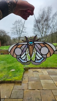 Image 3 of Moth mauve