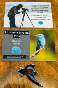 Image 4 of Lithuanian Birding Pins - Choose A Species