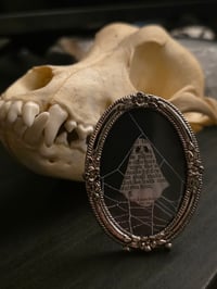 Image 1 of 1800’s biblical Ghost with preserved spider web -17