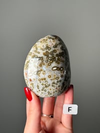 Image 6 of LARGE ORBICULAR JASPER FREEFORMS