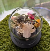 Image 7 of Honeycomb Kitty Cloche