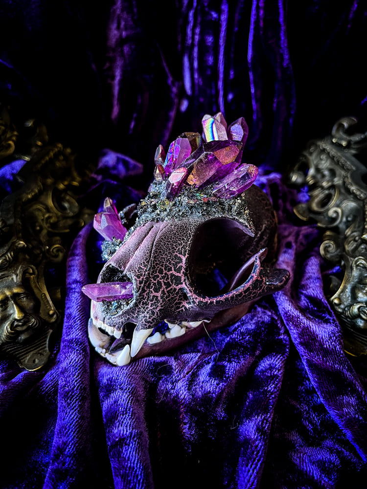 Image of Burgundy Quartz & Carborundum - Bobcat Skull  