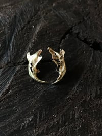 Image 1 of Brass jawbone earrings 