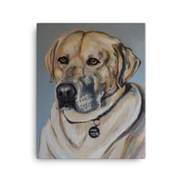 Image 3 of Handsome Yellow Lab