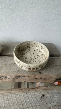 Image 3 of Curvy Skåle Birk