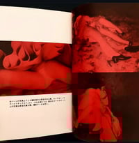 Image 5 of Kohei Yoshiyuki - Secret Infrared Photography 