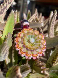 Image 5 of Magenta Magnolia