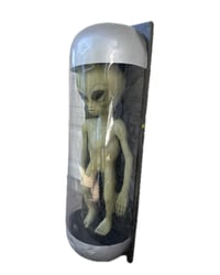 Image 3 of alien　　　The X-Files