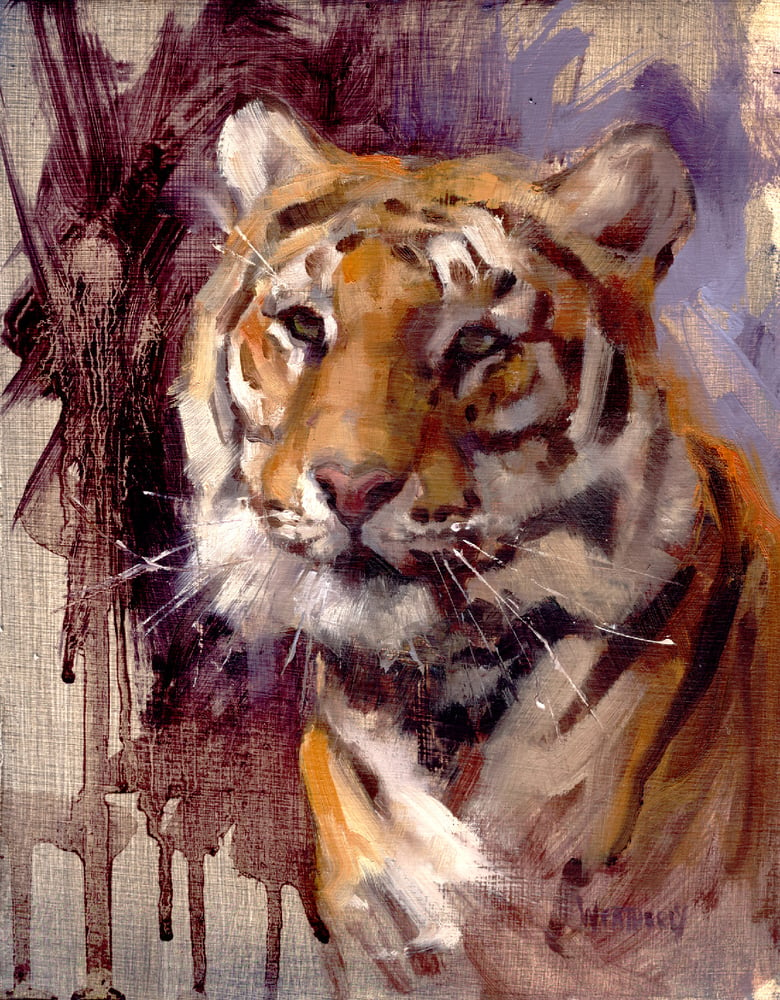 Image of Tiger Head portrait 8.5"X11"