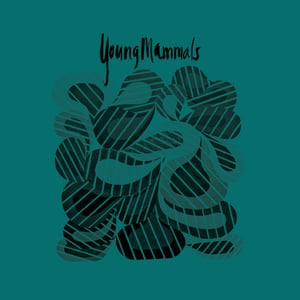 Image of Young Mammals -"Build a House" 7"