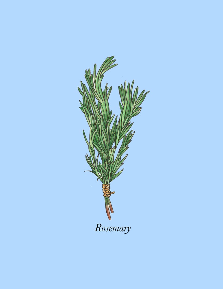 Image of Rosemary