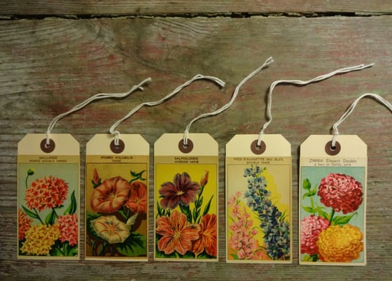 Image of Set of 5 Gift Tags