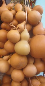 Image of HK HONEY GOURD CANDLE