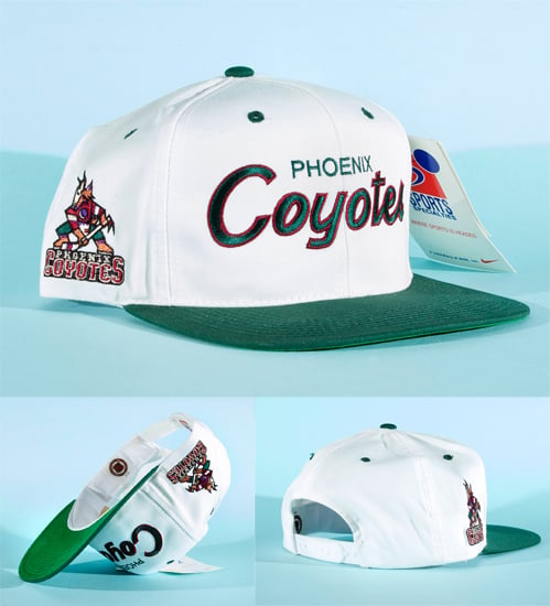 phoenix coyotes snapback