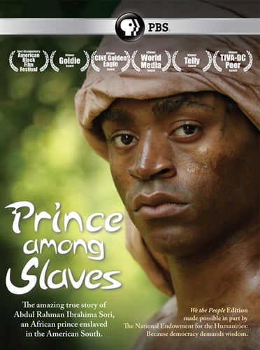 Image of Prince Among Slaves - DVD
