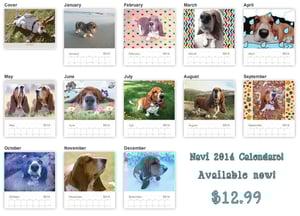 Image of Navi 2014 Calendar