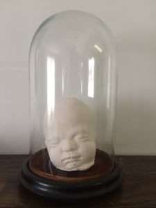 Image of vintage plaster anatomical baby death mask in dome
