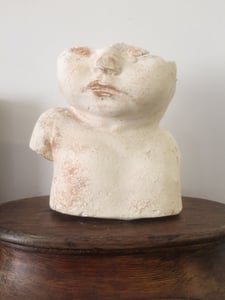 Image of vintage plaster anatomical baby body 