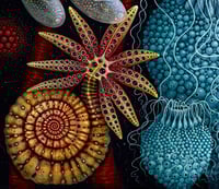 Image 4 of MICROVERSE 1 • 25 x 20" Signed Open Edition