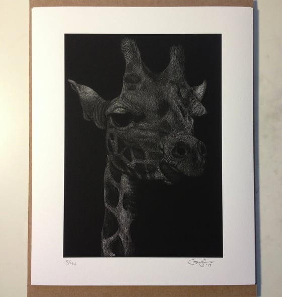 Image of Limited Edition Print - Giraffe